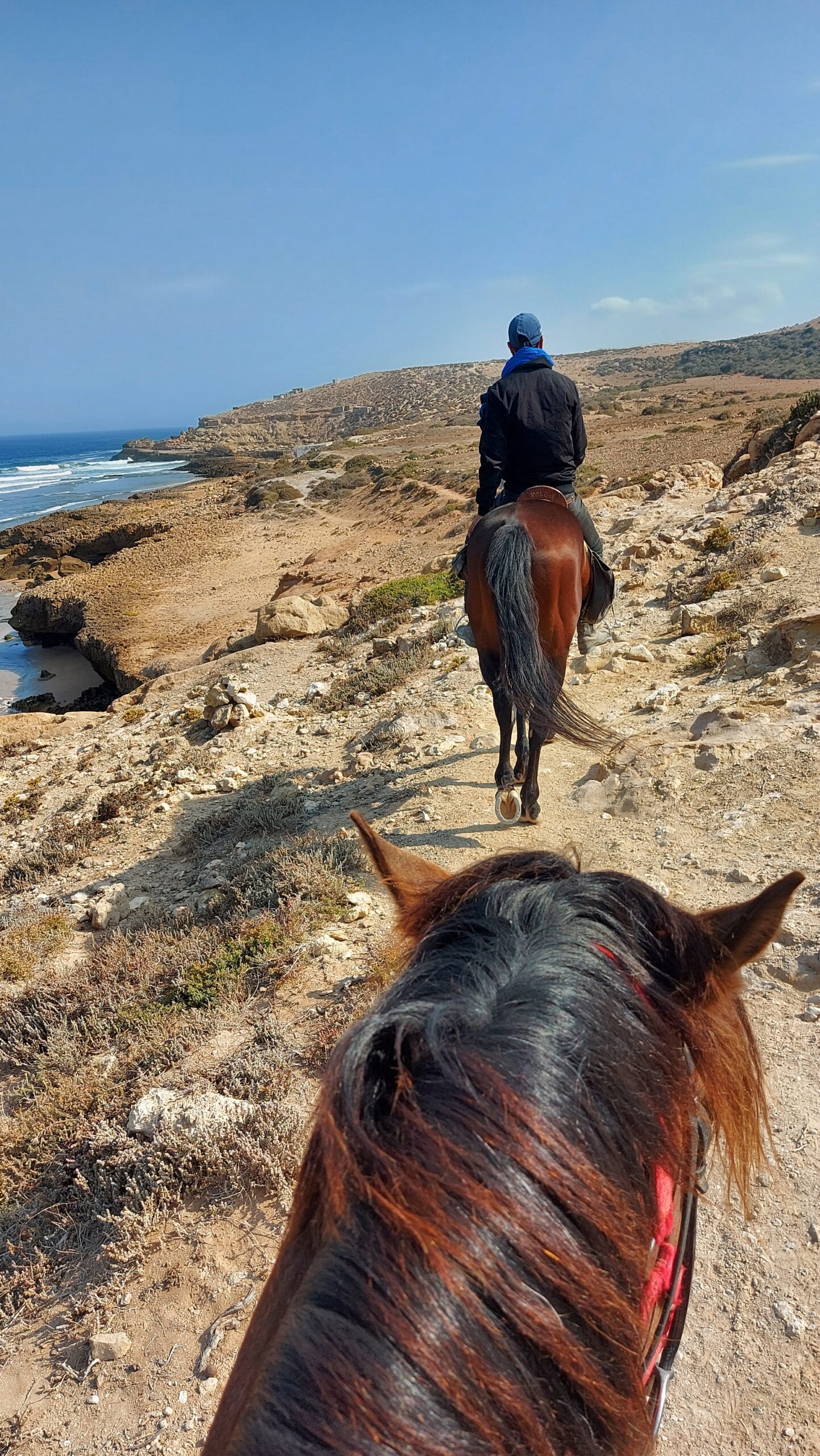 expérience cheval Essaouira