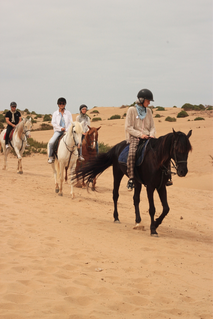 balade à cheval dunes Essaouira