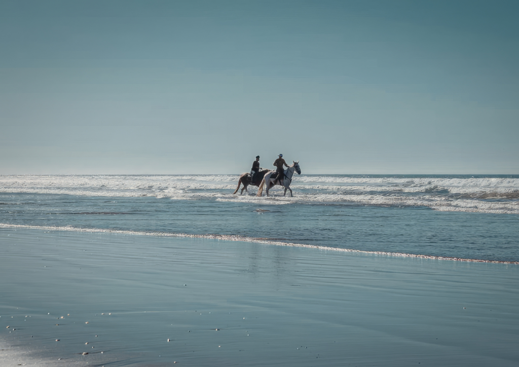 chevaux marchant sur la plage d'essaouira