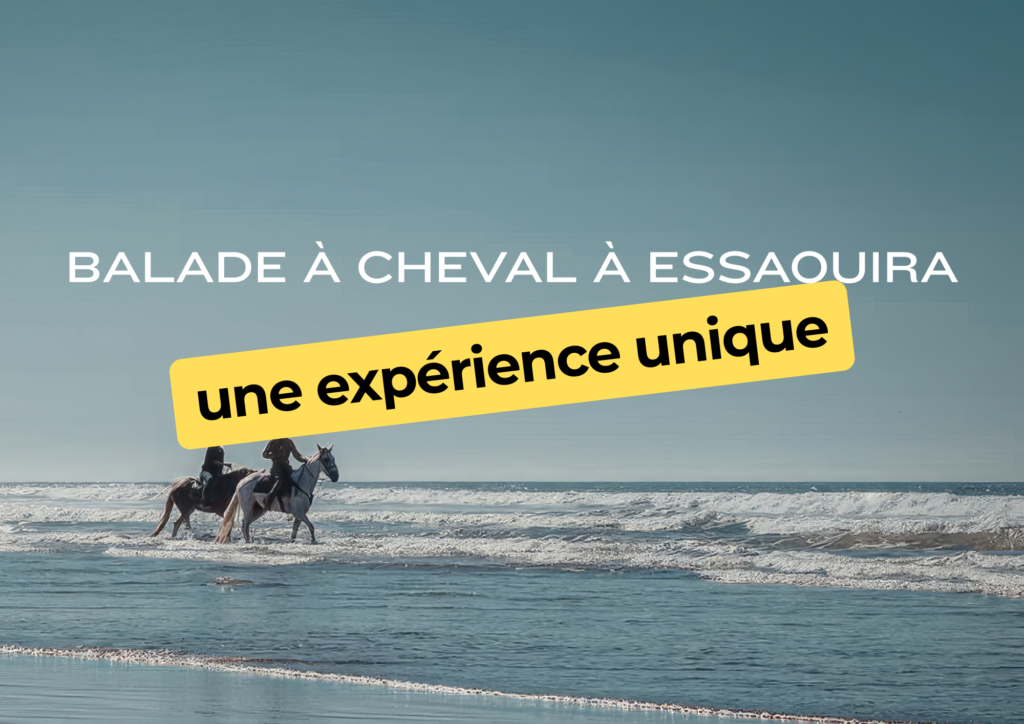 Balade à cheval à Essaouira : une expérience unique beige white minimalist pattern page border document (a4 landscape) (20)