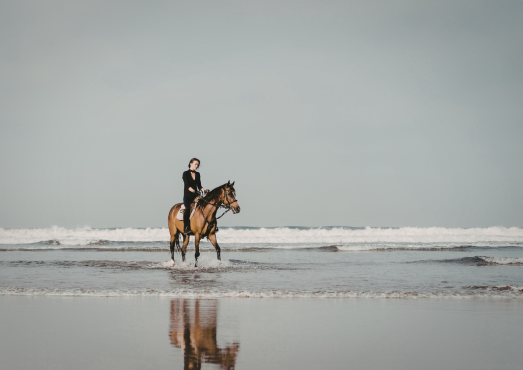 horse and rider walking on the beach in Essaouira