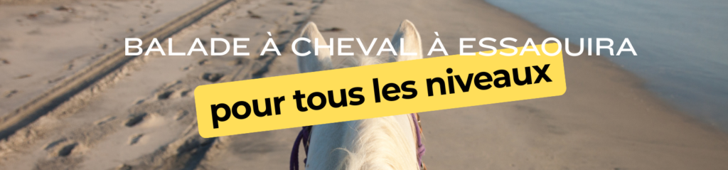 header notion administratif minimaliste orange (4)