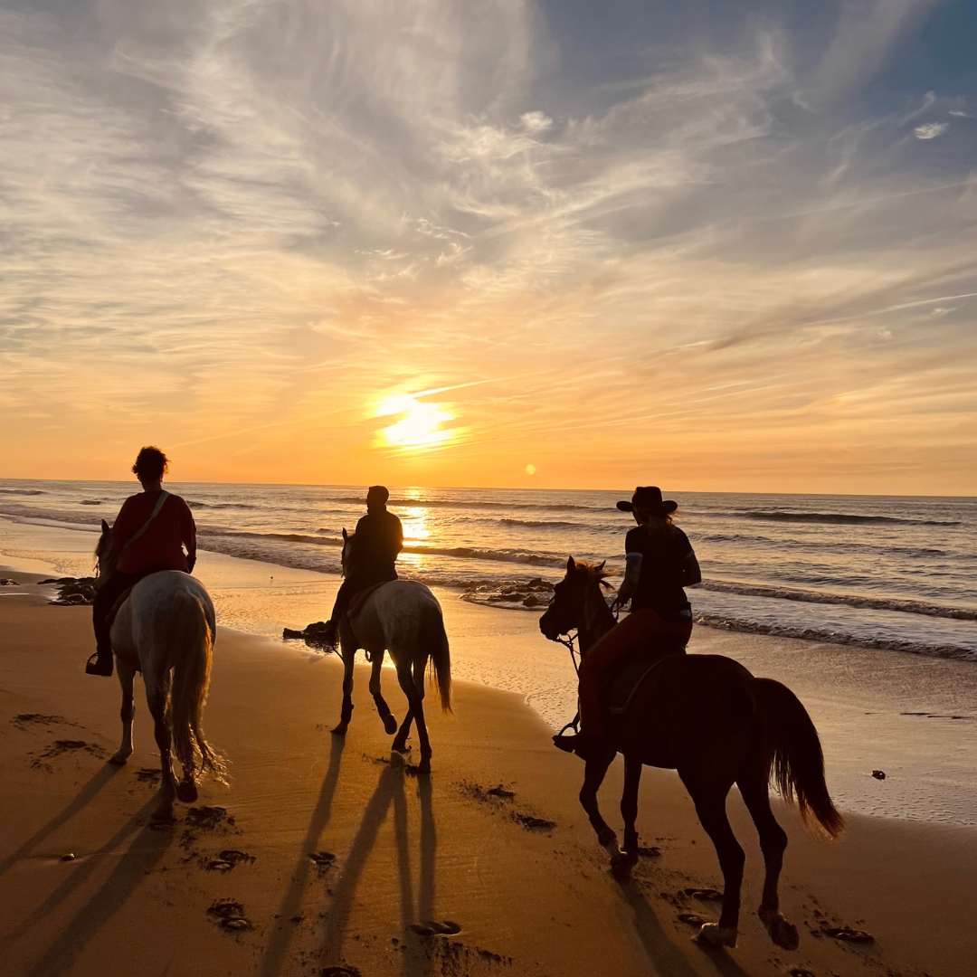 sunset horse riding Essaouira