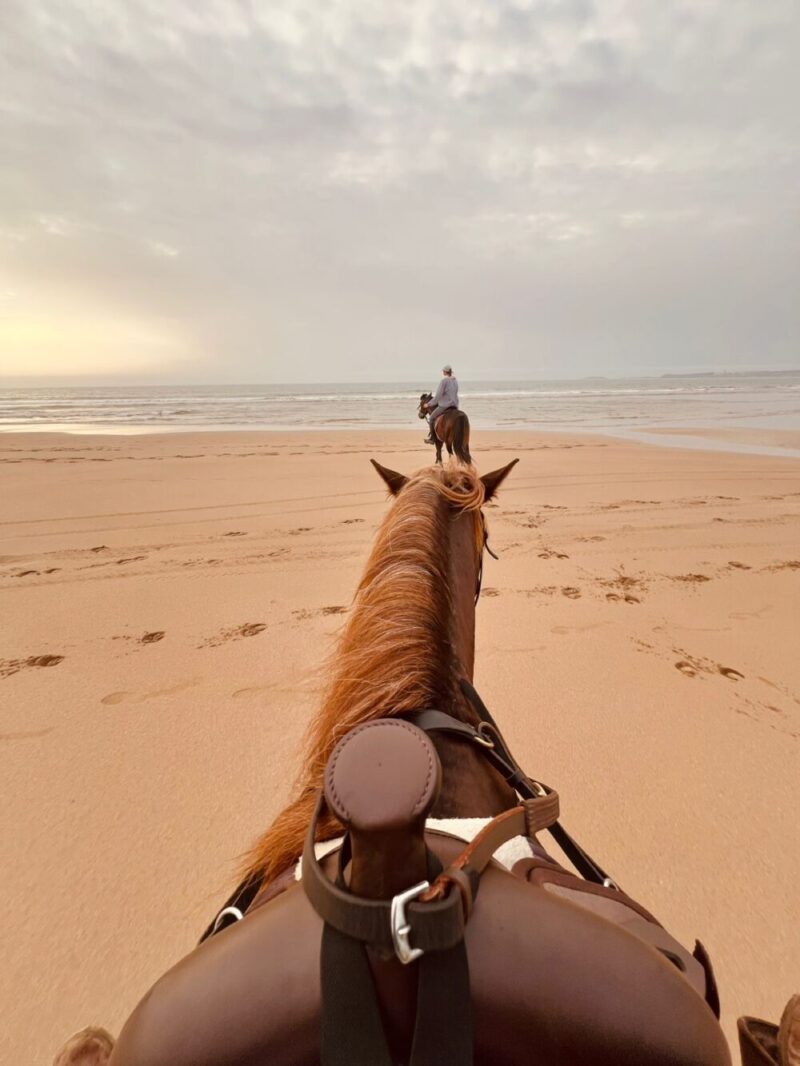 balade à cheval Essaouira plage