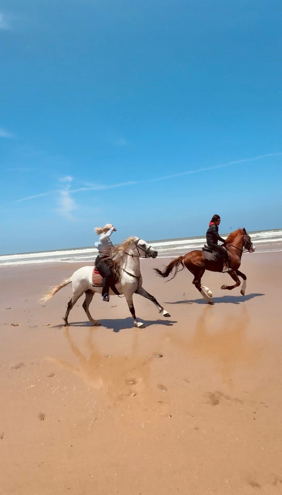 Home balade cheval océan Essaouira
