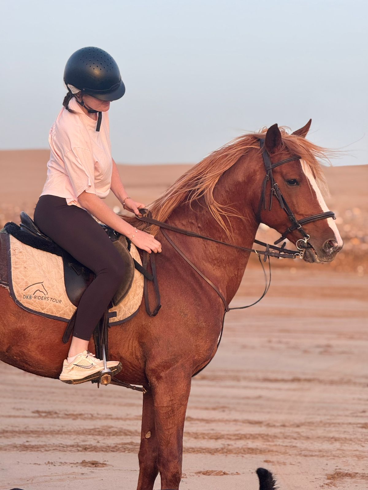 Home horse riding Essaouira sunset