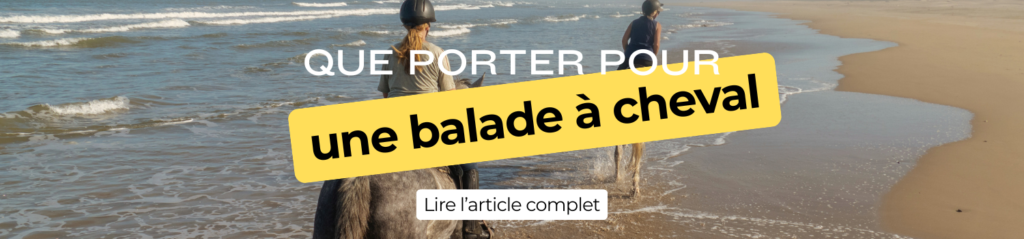 header notion administratif minimaliste orange (1)