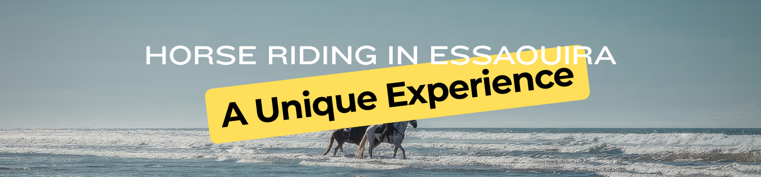 Horse Riding in Essaouira: A Unique Experience Balade à cheval à Essaouira