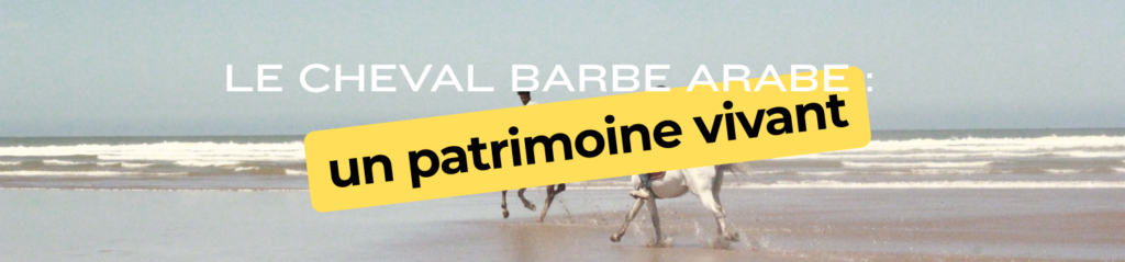 header notion administratif minimaliste orange (3)