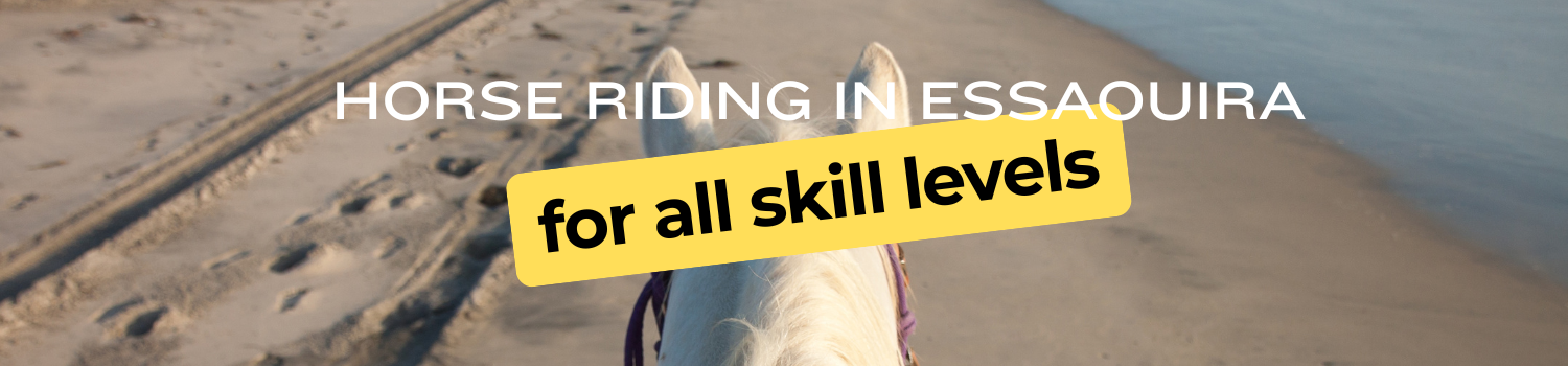 Horse riding in Essaouira for all skill levels header notion administratif minimaliste orange (4)