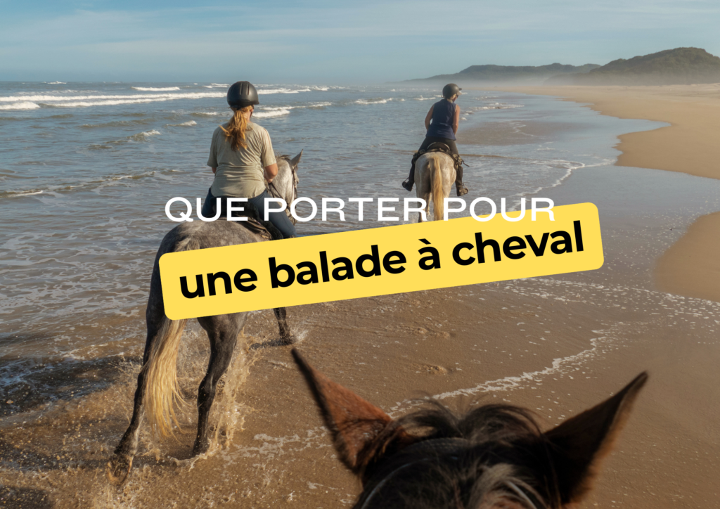 Que porter pour une balade à cheval à Essaouira ? beige white minimalist pattern page border document (a4 landscape) (8)